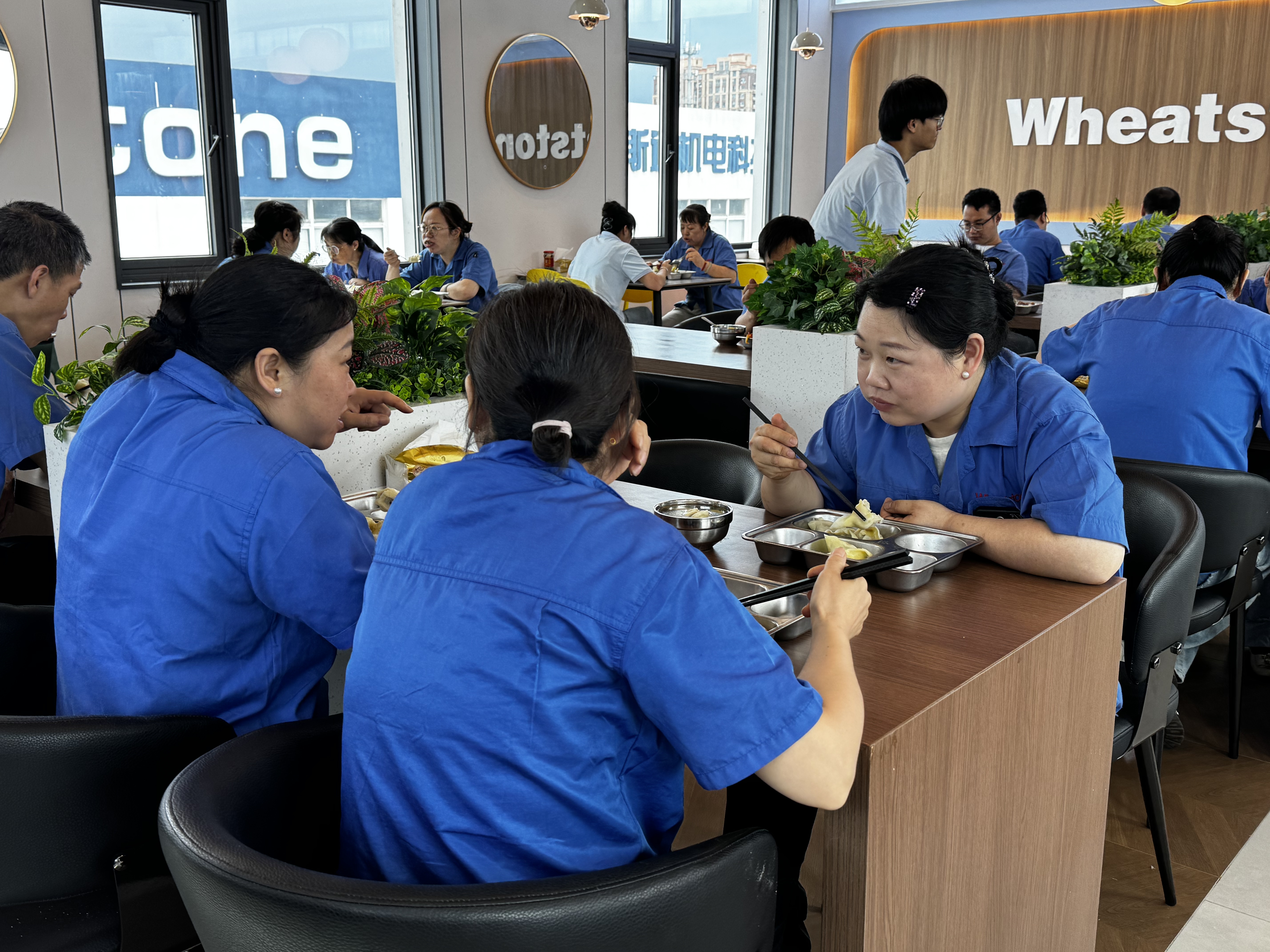 78171858.jpg 78171858.jpg